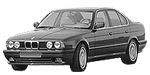 BMW E34 P171E Fault Code